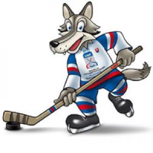 IIHF 2011